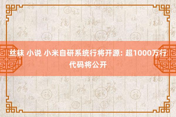 丝袜 小说 小米自研系统行将开源: 超1000万行代码将公开