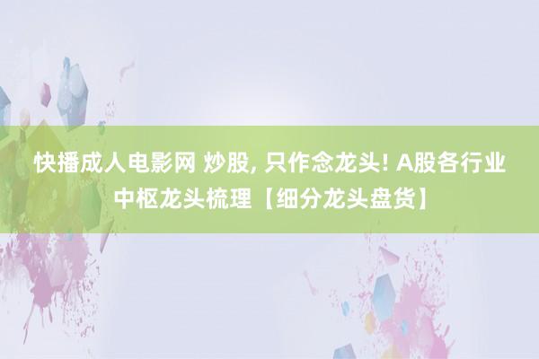 快播成人电影网 炒股， 只作念龙头! A股各行业中枢龙头梳理【细分龙头盘货】